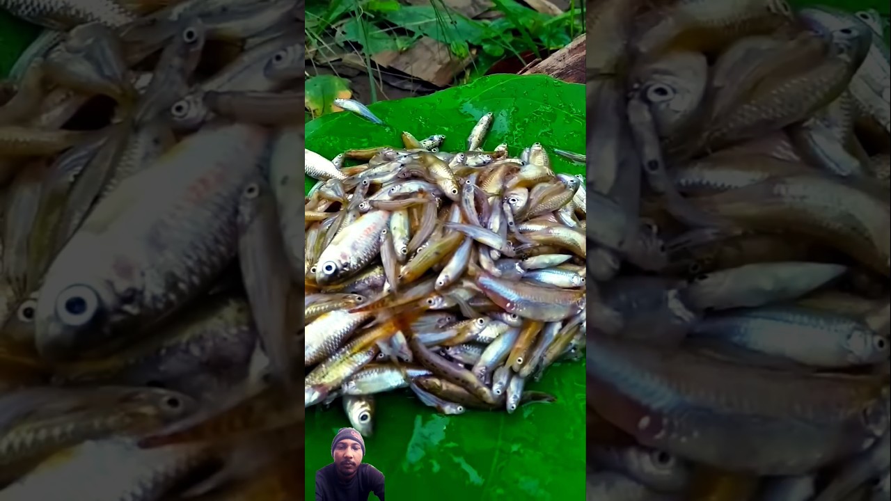 Amazing fish cooking #villagefish #tribalvillagelife #fish #shorts