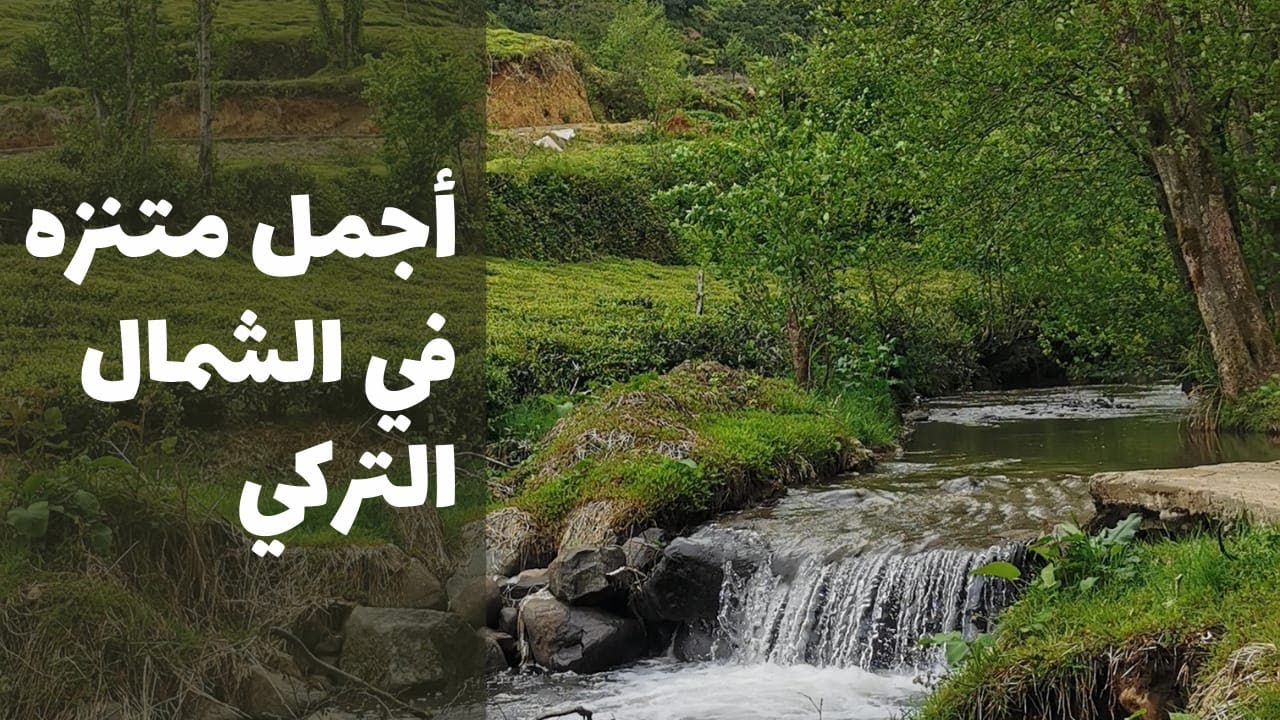 أجمل متنزه في الشمال التركي / ريزا ( مناطق مخفية يجهلها الكثير (pilek Parkı