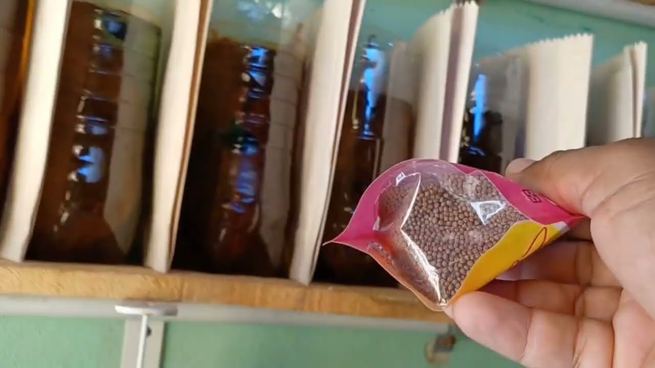 Trucos para  los bettas listo para la Valla parte 2