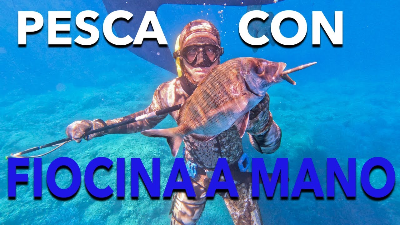 PESCO IN APNEA CON LA FIOCINA A MANO