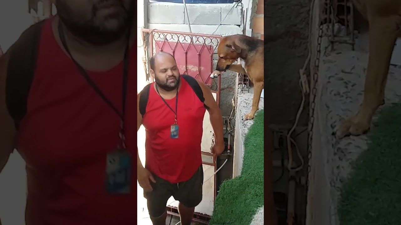 Caring Dog Gives The Best Hugs