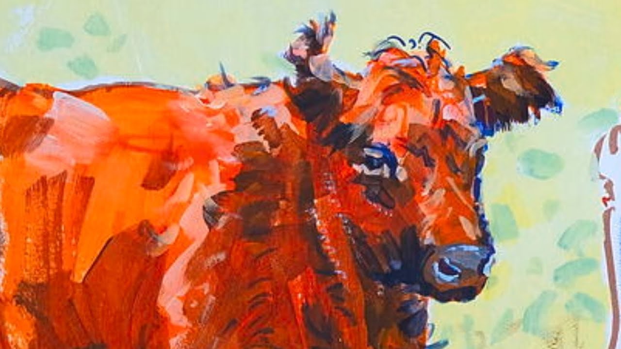 Galloway cow painting
