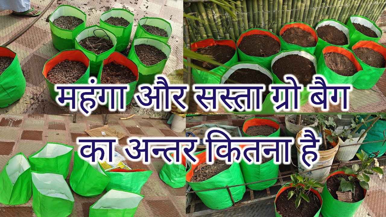महंगे और सस्ते ग्रो बैग का अंतर।। how to choose grow bag।। gardening।।