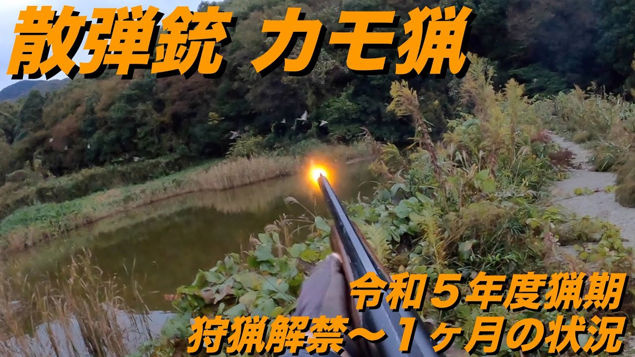 令和5年度猟期　狩猟解禁　散弾銃カモ猟