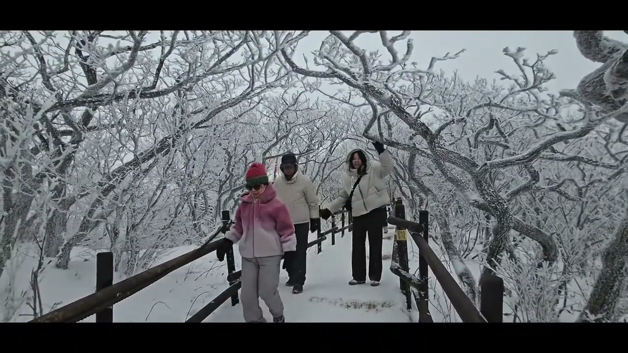 덕유산 눈꽃 향적봉 가는 길  2026. 1.12 석정eng 안전기원