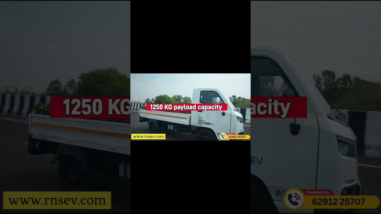 Leave Fuel Costs Behind &ndash; Go Electric with Euler!