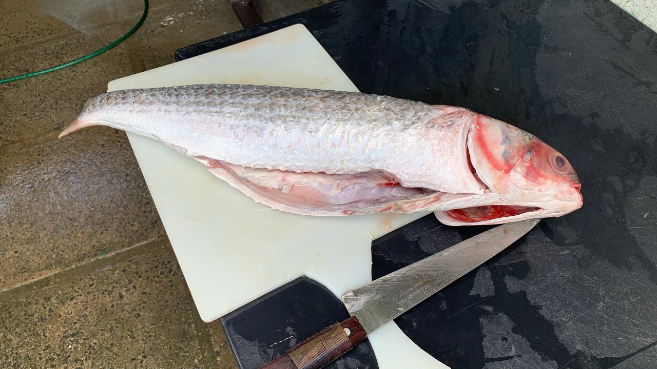 Aprenda Como Cortar em postas um Peixe 🐟 🔪 🫡👏 #peixeemposta #tutorialdepeixaria #youtube