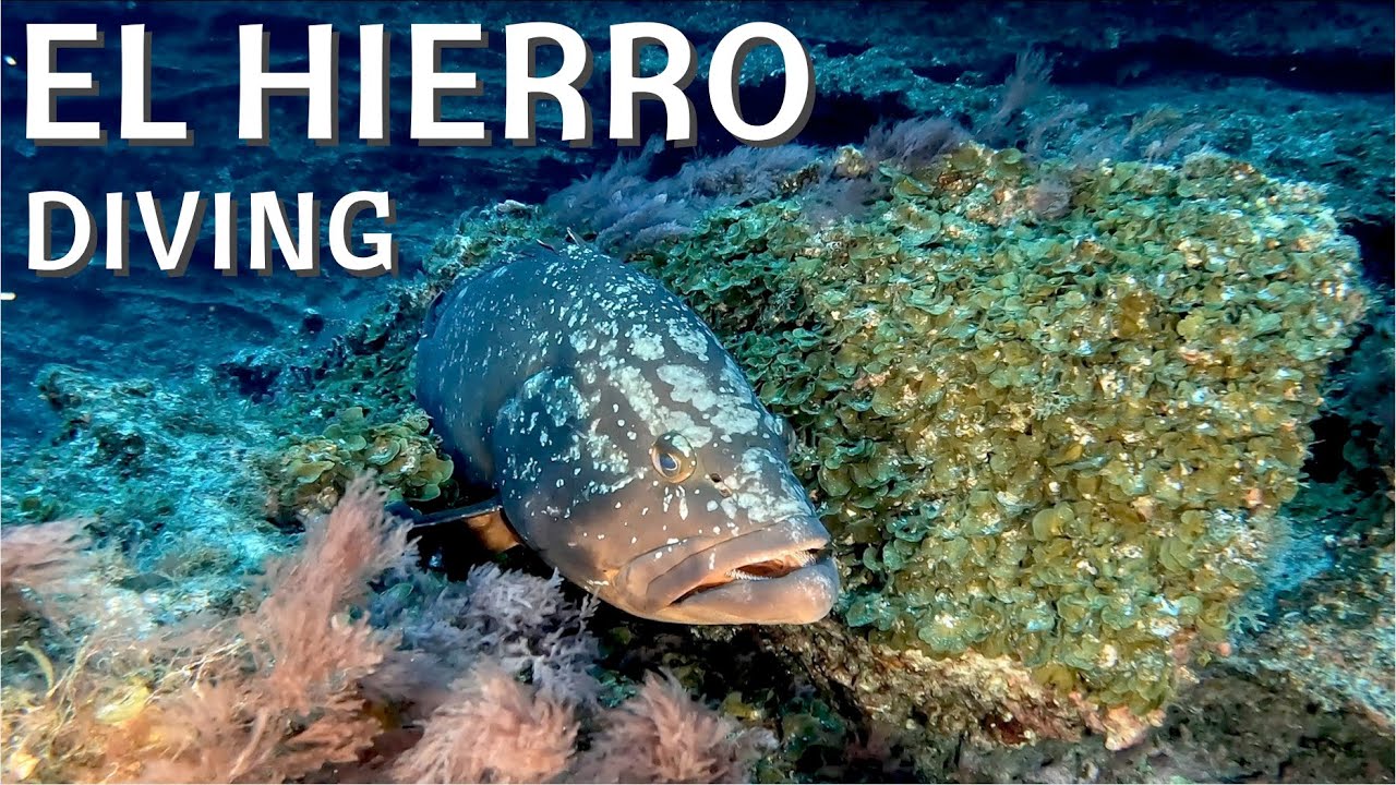 El Hierro | Scuba Diving | Marine Park