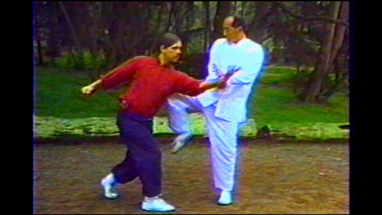 八卦掌 BAGUA ZHANG Tiger Palm  Applications