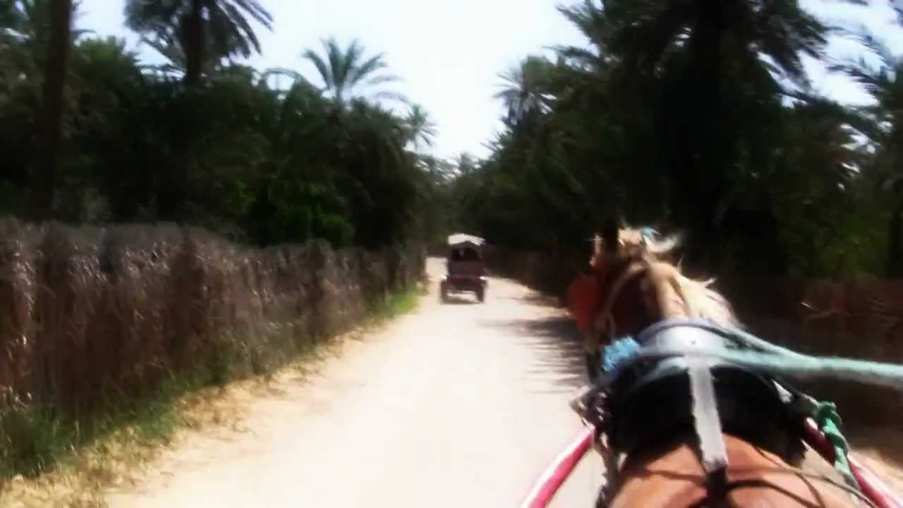 Tozeur (توزر) - Nefta Oasis