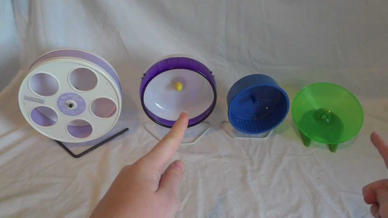 Hamster Wheels Comparison