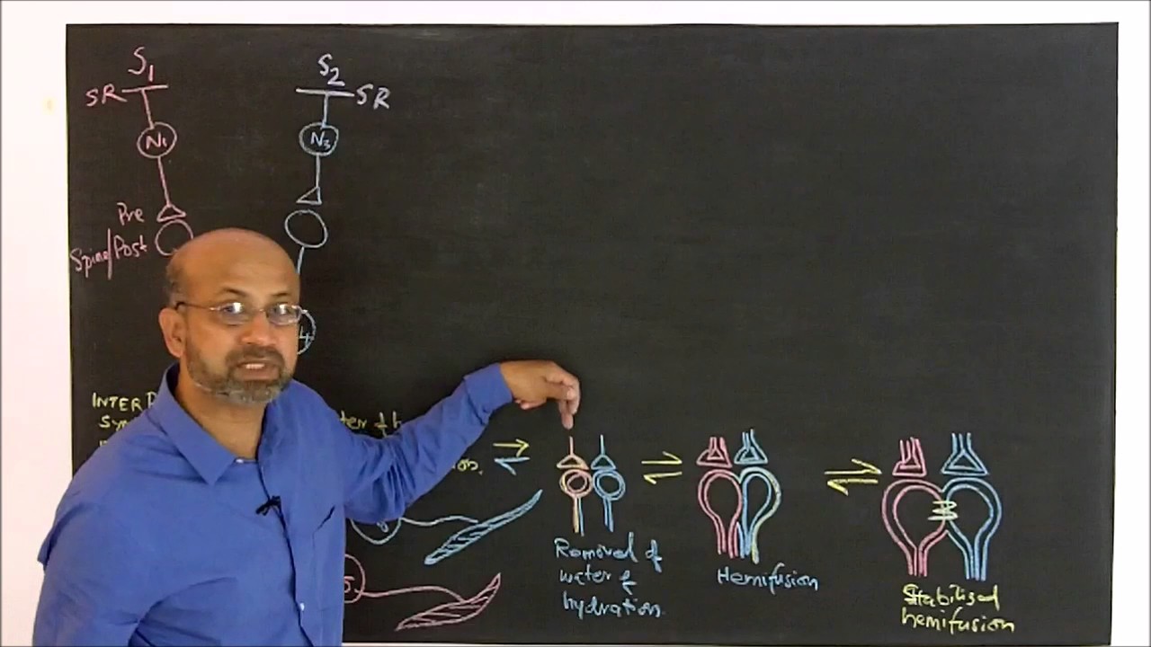 Induction of units of inner sensations