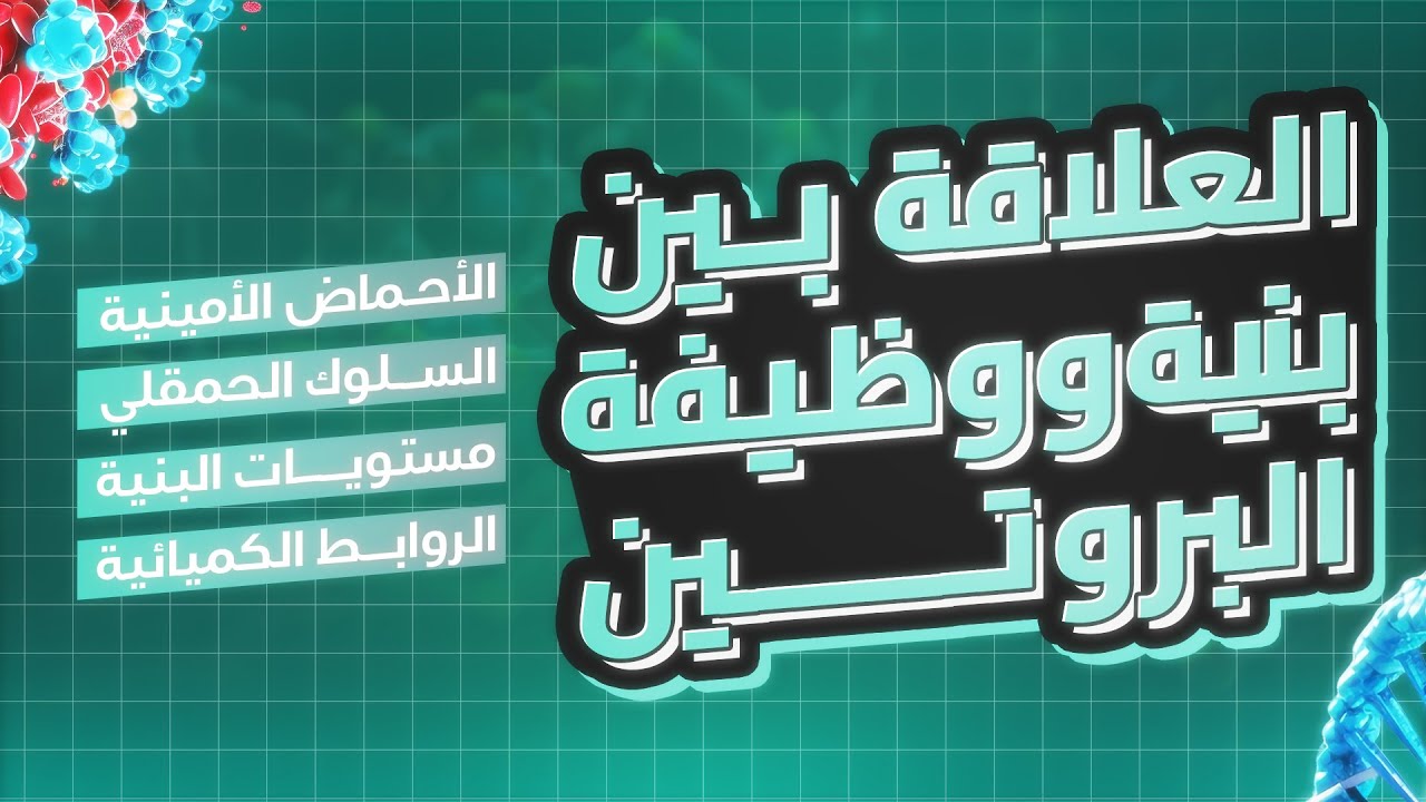 الوحدة الثانية : العلاقة بين بنية ووظيفة البروتين من الألف إلى الياء (الدرس المفصل)