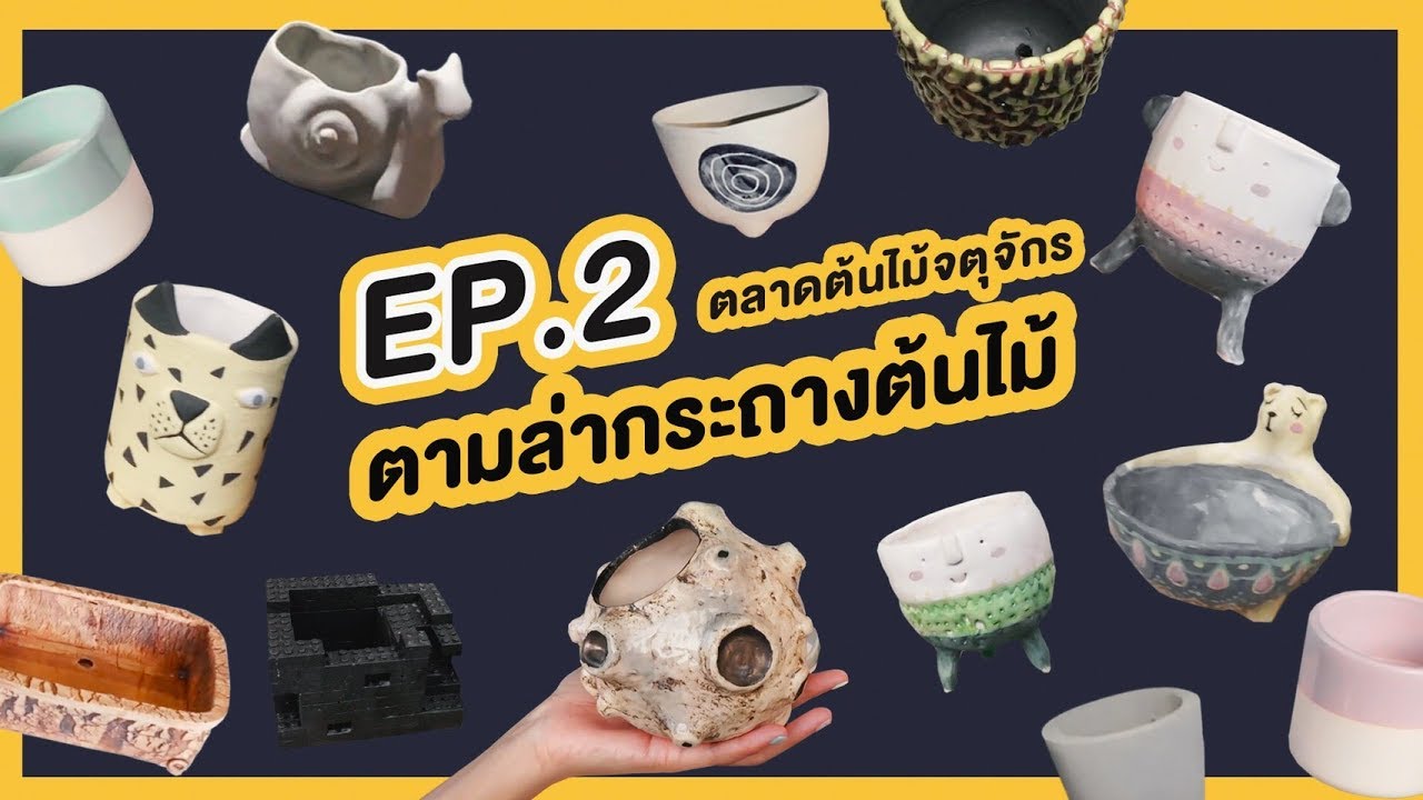 รายการรังรัก EP.2 | #ตามล่ากระถางต้นไม้ 21 ร้าน ที่ตลาดต้นไม้จตุจักร