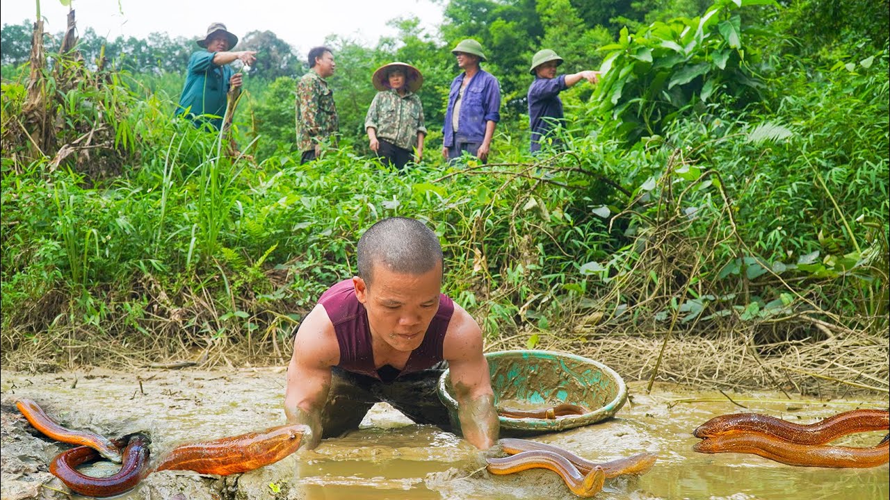 Dwarf Family - eel hunting trip & taking care of goats | Harvesting Corn Garden Goes to market sell