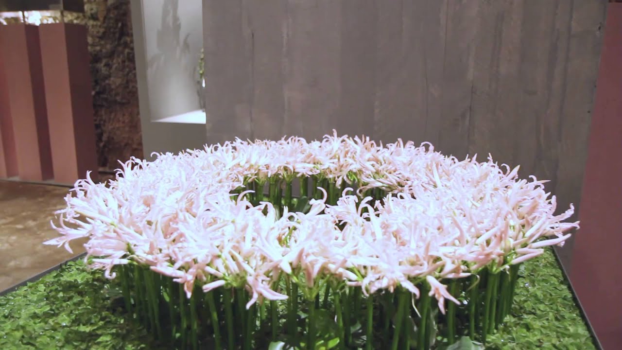Ausstellung floristischer Meisterarbeiten 2015 AoF/Academy of Flowerdesign