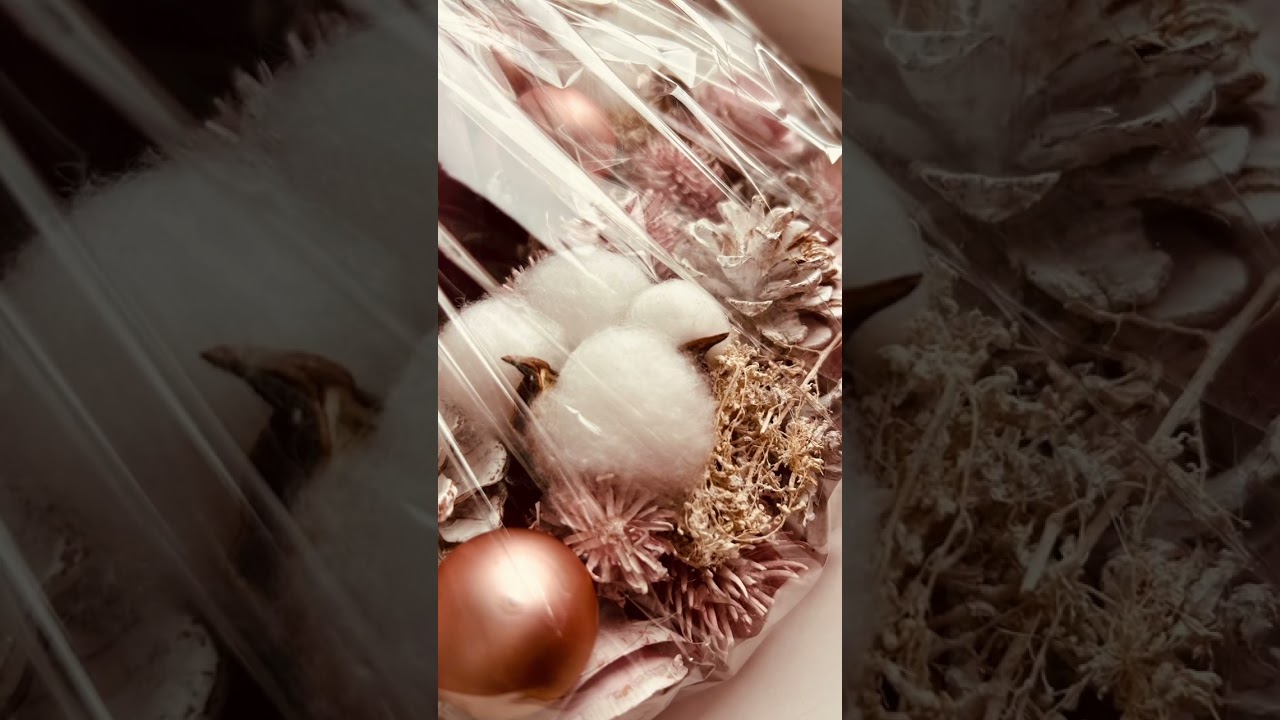 Christmas rehearsal 2022 / Hobby Orchester