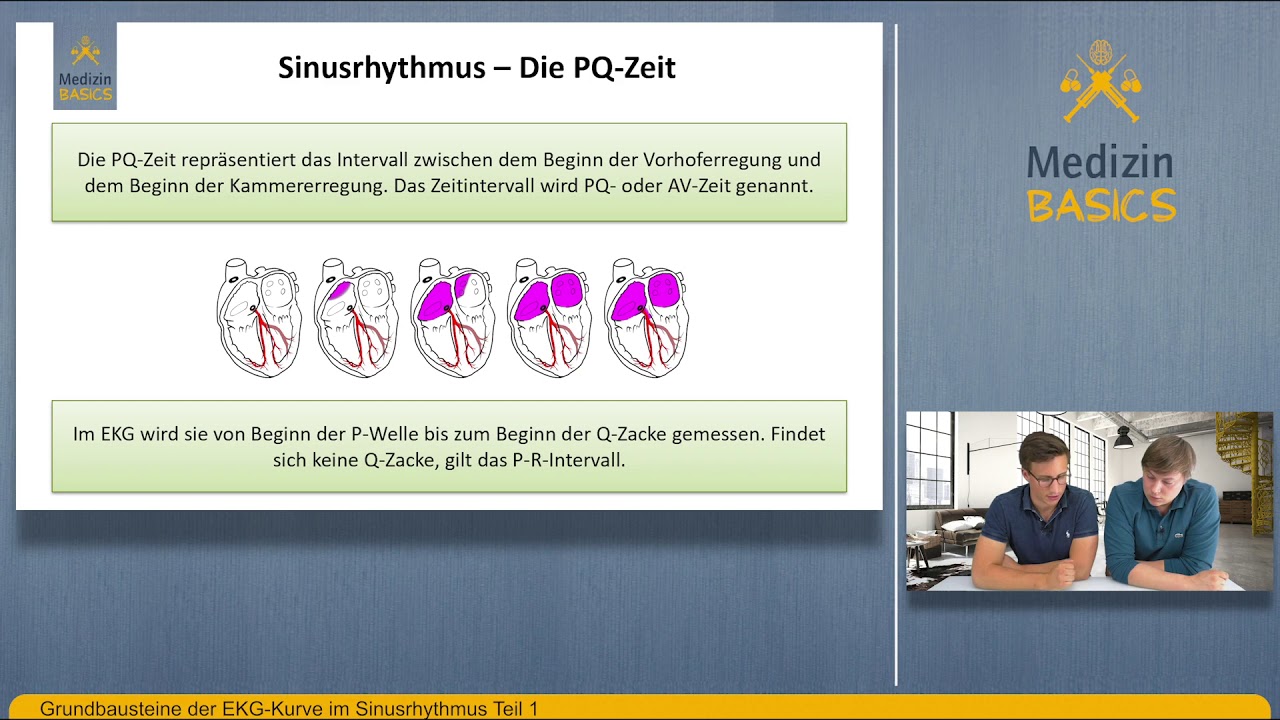06   Grundbausteine der EKG Kurve im Sinusrhythmus Teil 1 1