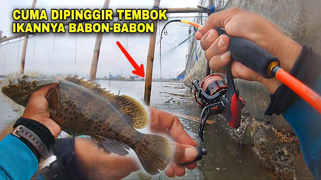 GAK MASUK AKAL‼️BANYAK YANG GAK TAU KALO DITEMBOK INI BANYAK IKANNYA, SAYA SAMPAI KEHABISAN UDANG