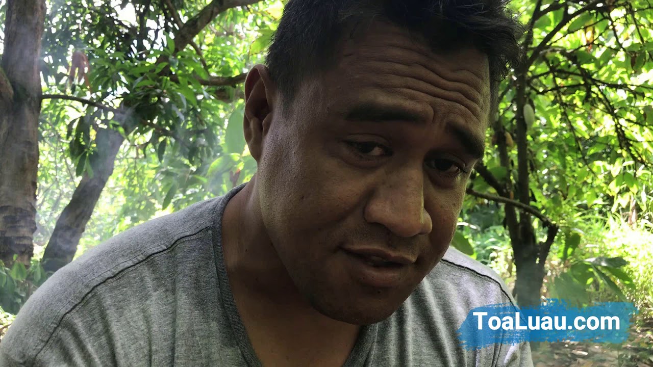 ToaLuau: Real organic chocolate