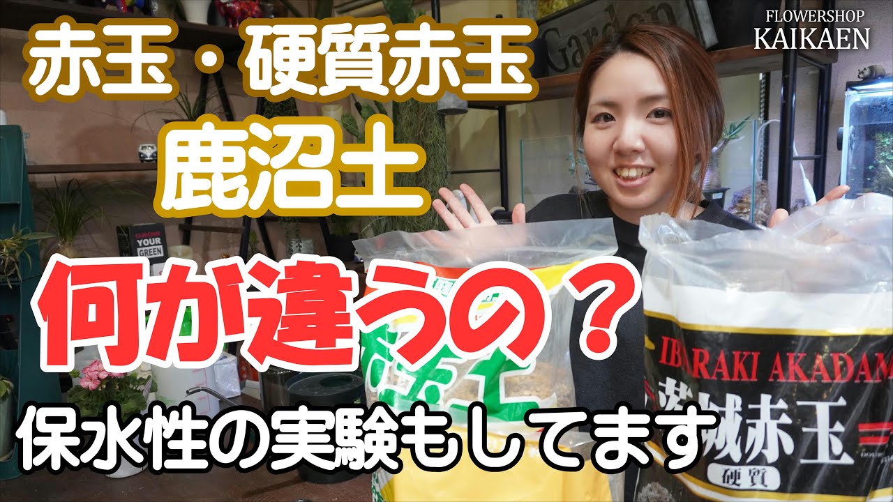 赤玉　鹿沼土　違い　何が違う？　保水性の実験　排水性　肥料成分ない【おうちでガーデニング】開花園チャンネル