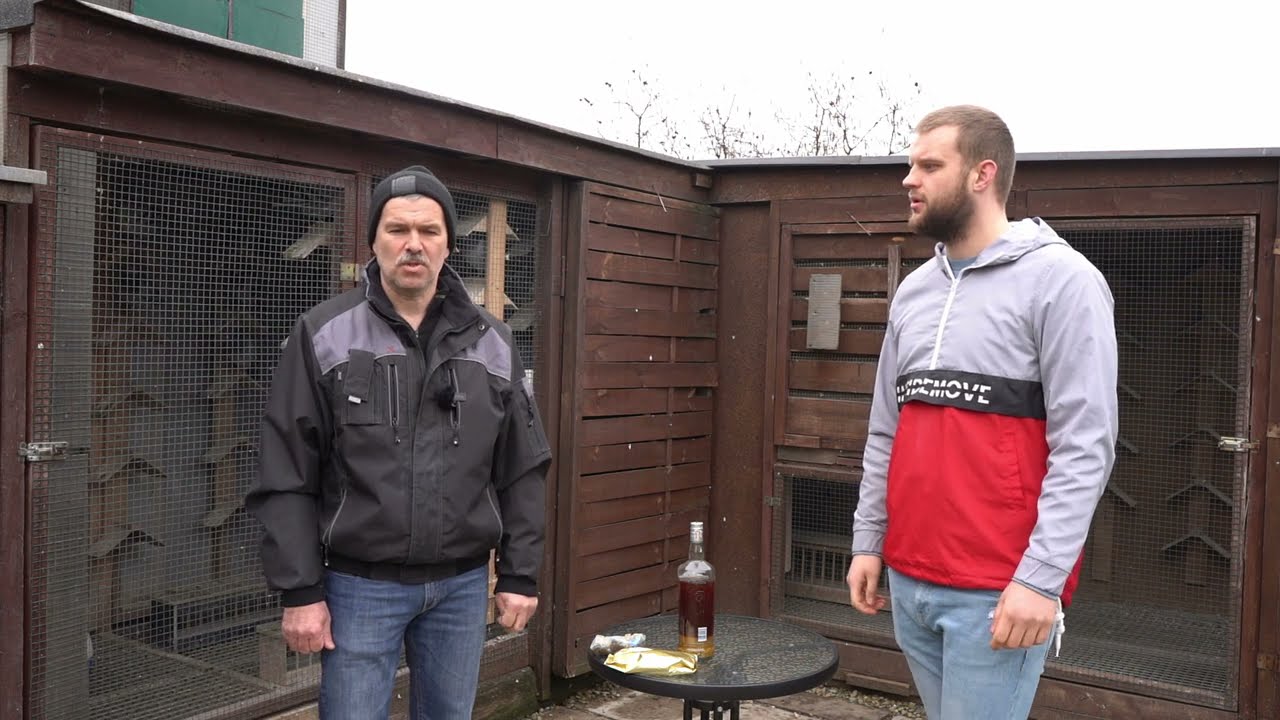 Mrozik Kazimierz & Agnieszka - 025 Osiek | CZĘŚĆ 2 - Czołowa Hodowla Okręgu Bielsko - Biała