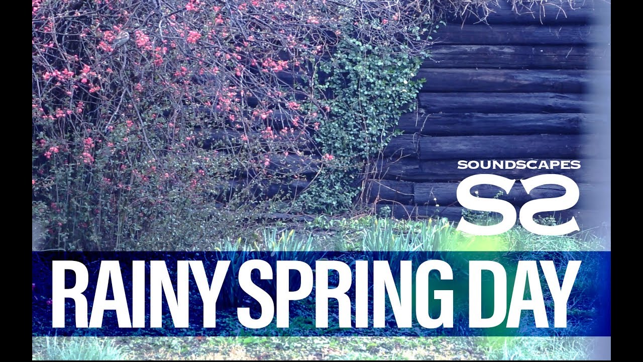 RAINY SPRING DAY - 1 HOUR | Soundscapes for Weirdos