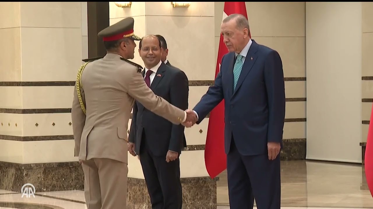 الرئيس أردوغان يتسلم أوراق اعتماد السفير المصري
