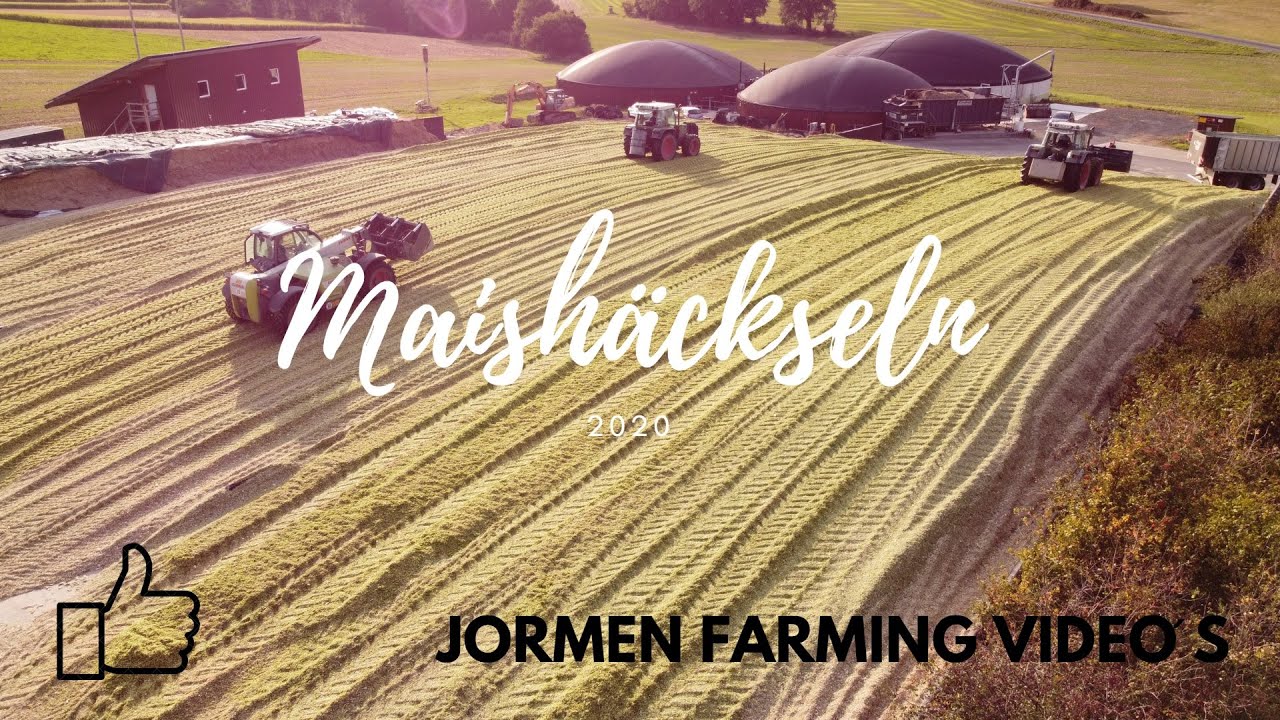 Maishäckseln 2020 |  Class Jaguar 950, Fendt 828, 818,716 und Class Abfuhrgespanne