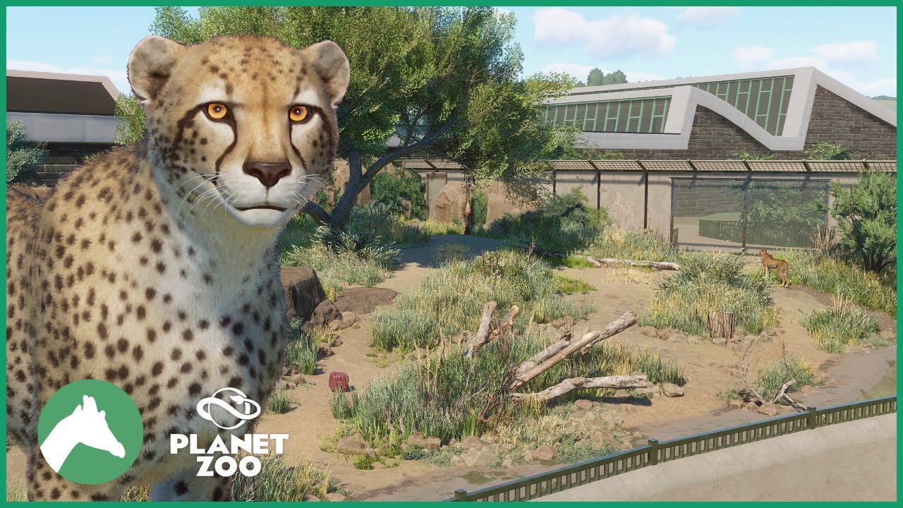 Cheetah Habitat | Elm Hill City Zoo | Planet Zoo