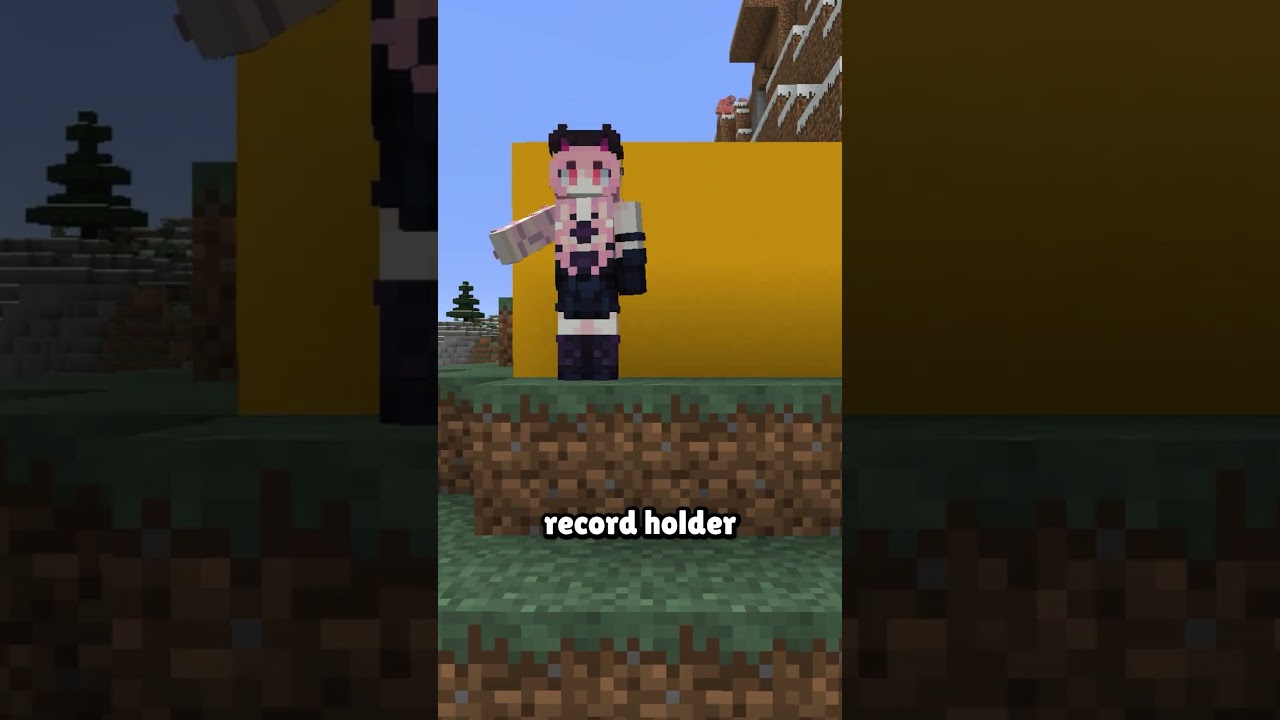 The Perfect Speedrun.