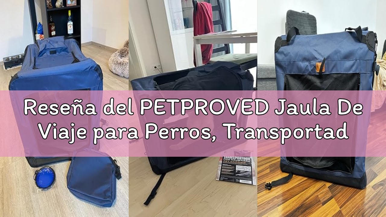Reseña del PETPROVED Jaula De Viaje para Perros, Transportador De Mascotas para Perros, Transportado