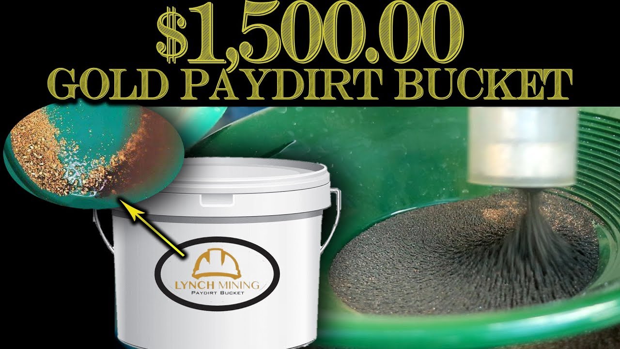I Spent $1,500.00 for Dirt!?