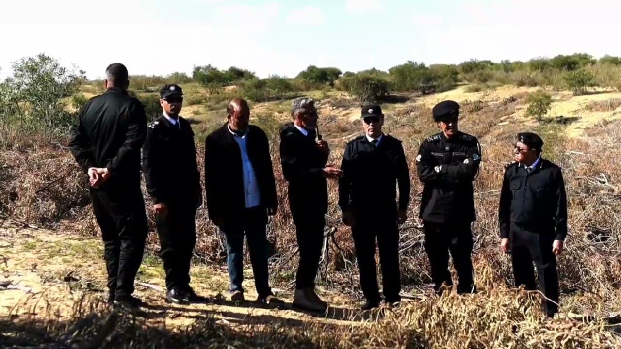 ١ مارس ٢٠٢٥