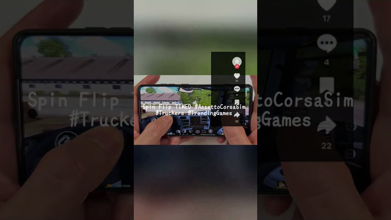 Spin Flip TIMED 