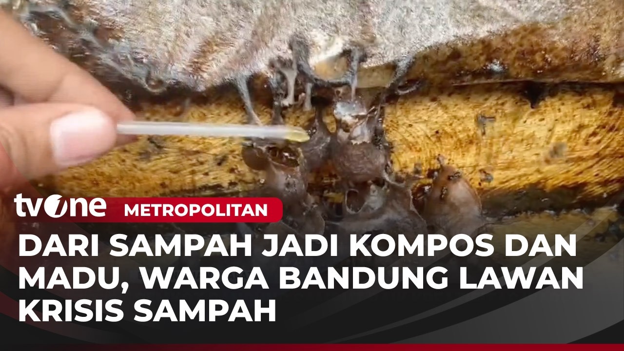 Warga Kreatif Ubah Sampah Organik jadi Pupuk Kompos | Metropolitan