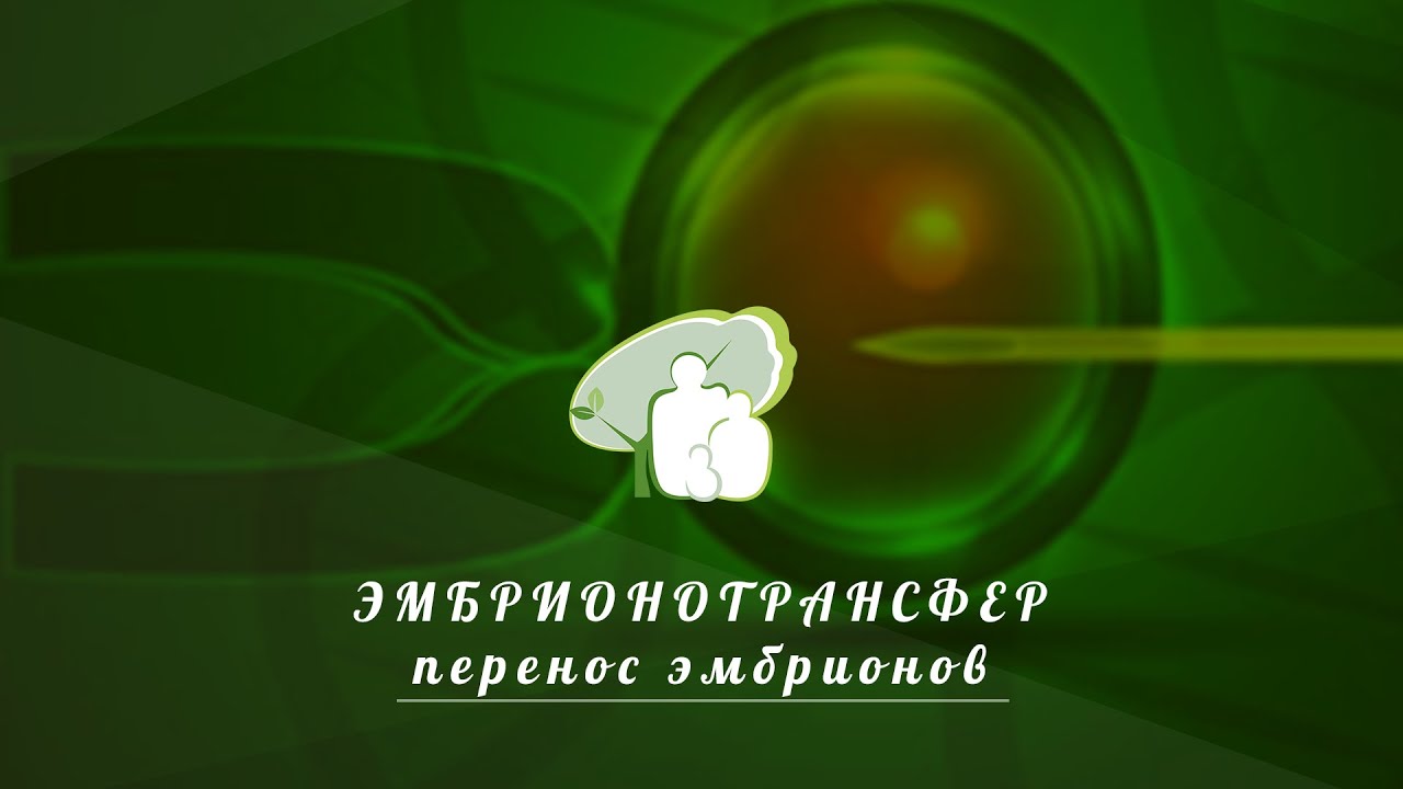 Перенос эмбрионов эмбриотрансфер