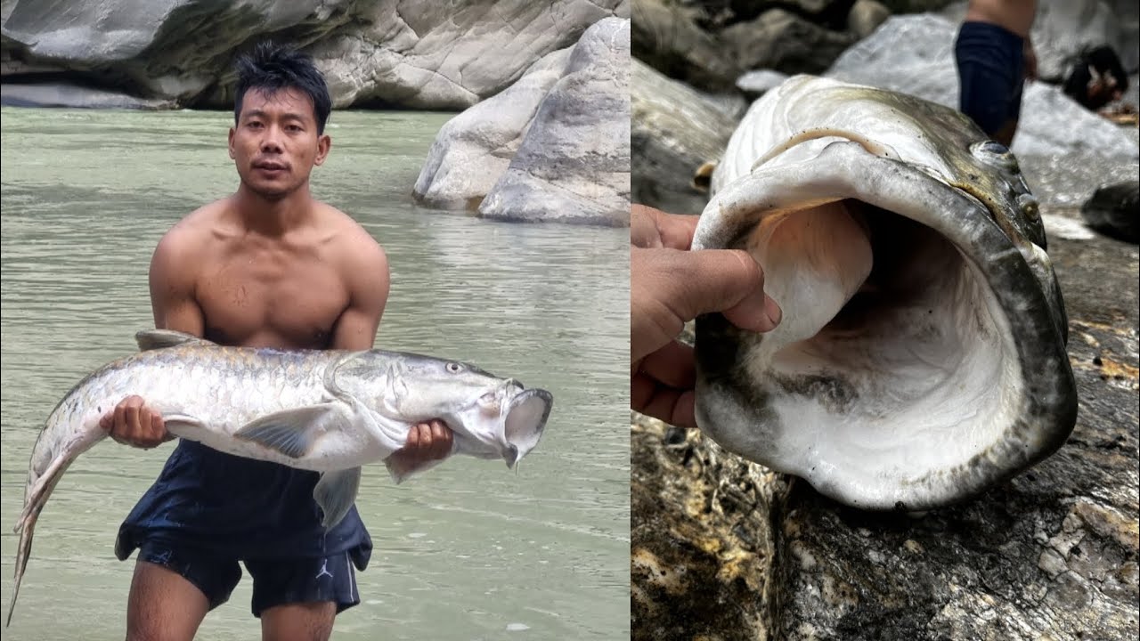 Got a massive 44 pound fish with dynamite.Another great day&great luck( Fishing for 50 years golden)