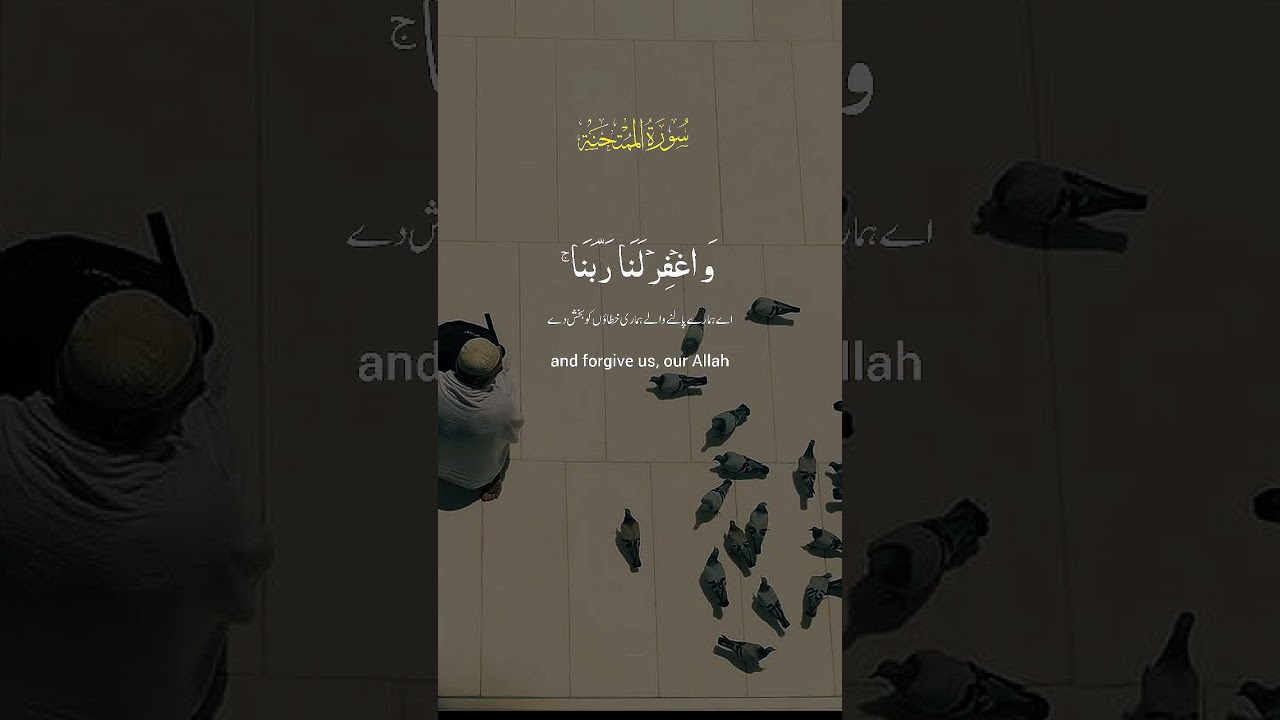 #tilawatquran #quranrecitation #hadees #quraan #sunnahrasul #quransaying #tilawah #recitation #islam