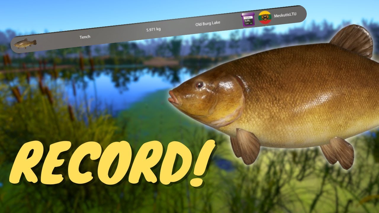 30 GRAMS FROM A BLUE TAG! TENCH & CARP SPOT! #894 Russian fishing 4