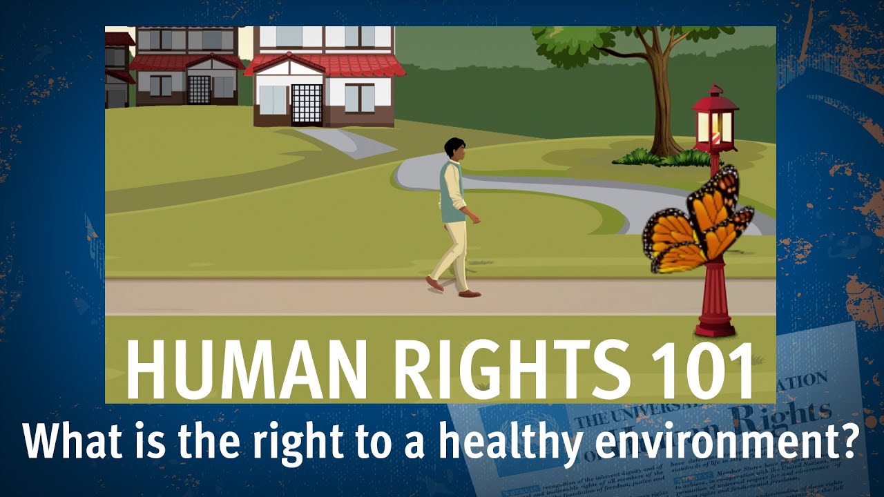 Human Rights 101 | Episode 09: What is the right to a healthy environment?