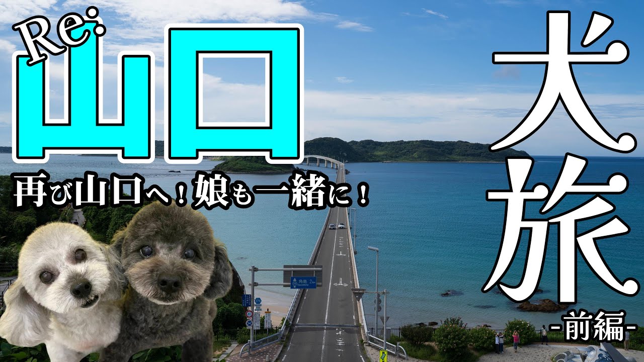 【犬旅】キャンプもいいけど旅行もね！～再び感動の地へ～ 犬連れ夫婦旅！今回は娘も一緒！ in 山口　[前編]　-川棚グランドホテル-