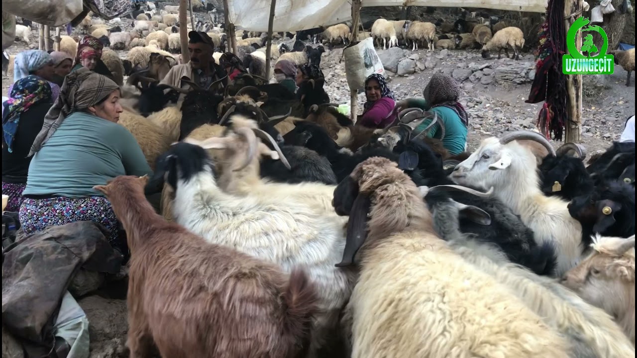 Gazi yıldırım - hozan Nurettin