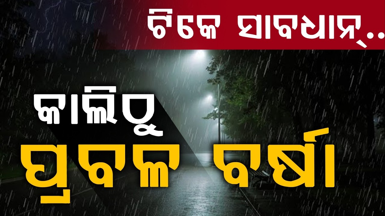 Rain Alert In Odisha from Tomorrow | Yellow Alert In 6 Districts | Weather Update Alert | Argus News