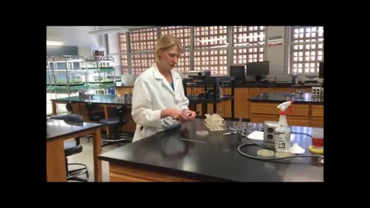 Tutorial: Inoculating a Liquid Culture