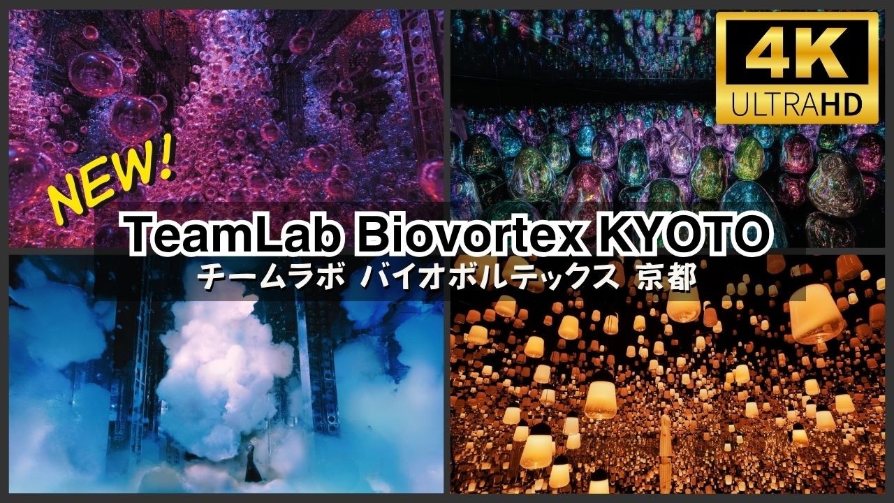 Inside Japan’s Stunning teamLab Biovortex Kyoto | Full Immersive Art Experience #チームラボ京都