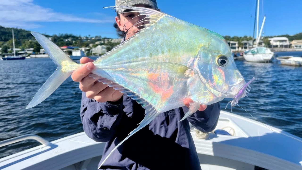 The Noosa Rivers On Fire - Awesome Session Catching Big Fish