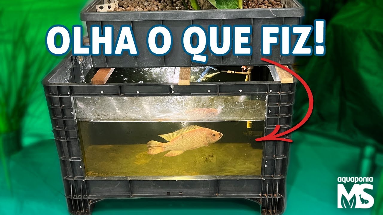 Transformei a Caixa em AQUATANQUE - Faça você também!