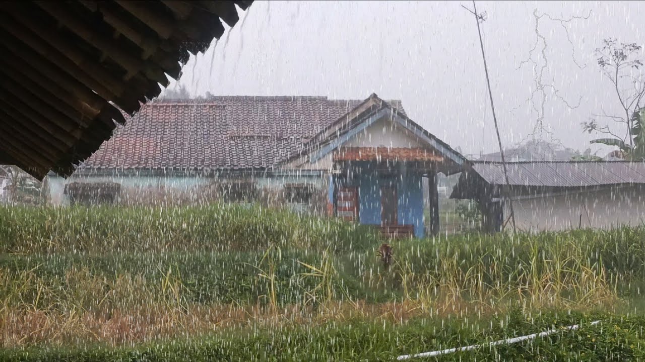 Самые популярные звуки дождя 🌧️ | Мгновенно засыпайте и избавьтесь от стресса