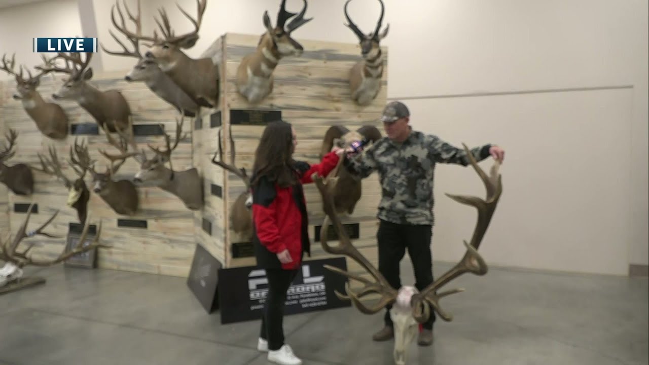 Pending World Record Elk at the Heads and Horns Competition